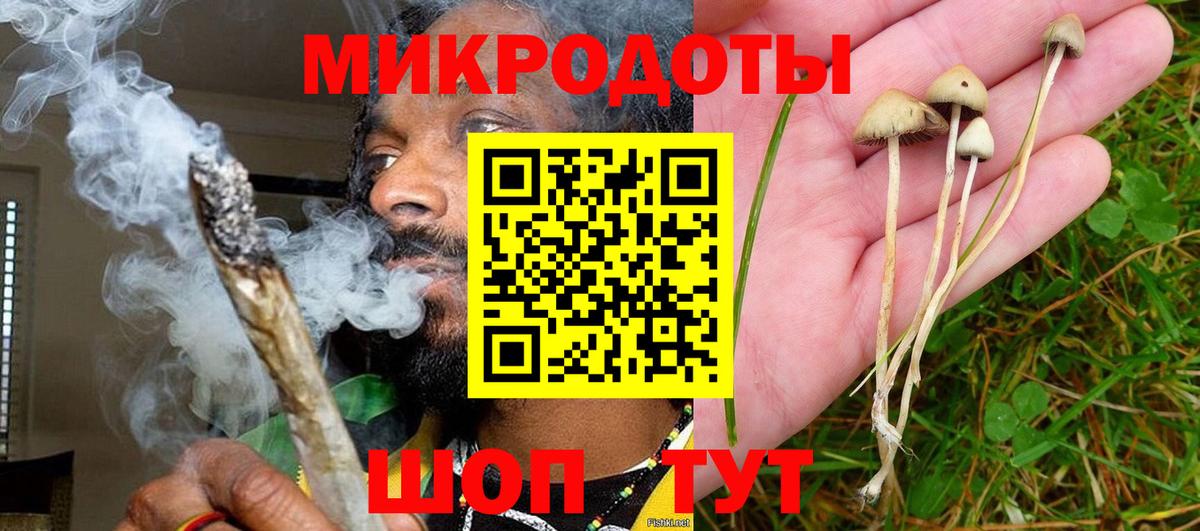 Крымск  Псилоцибиновые грибы Psilocybine cubensis  Вход с VPN  Галлюциногенные грибы Psilocybine cubensis 